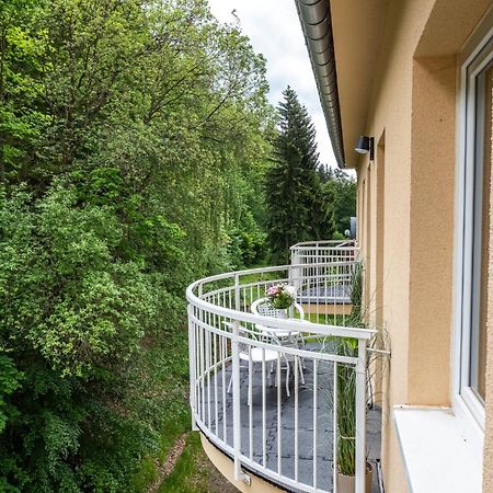 Forest Apartment With Sauna Jachymov Ngoại thất bức ảnh