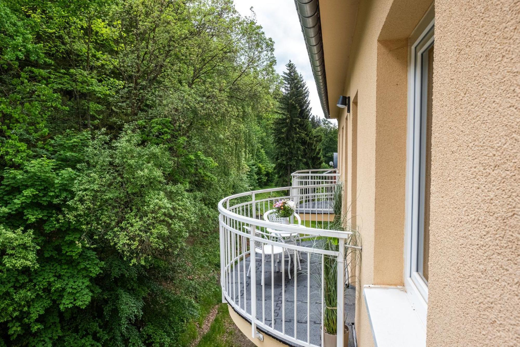 Forest Apartment With Sauna Jachymov Ngoại thất bức ảnh